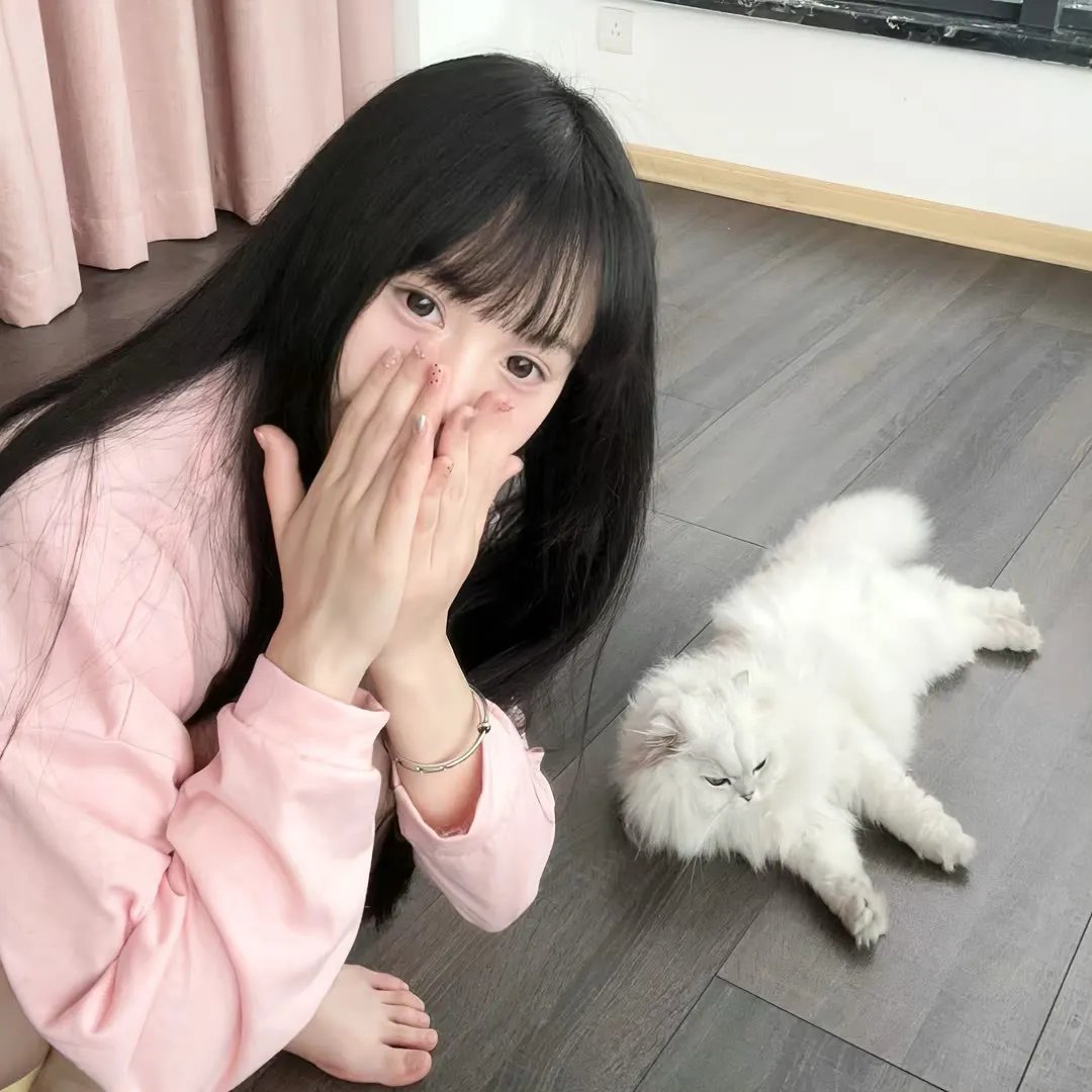 一条狗的使命 在线观看